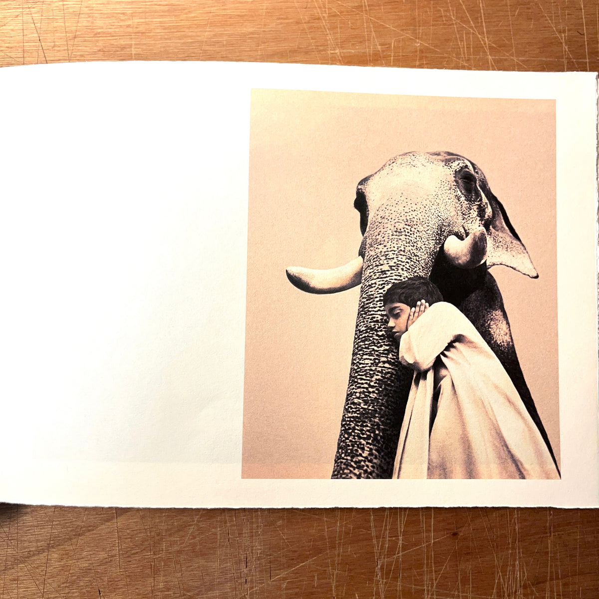 Gregory Colbert, Ashes and Snow, 2005 with Soundtrack and exhibit catalog, FINE