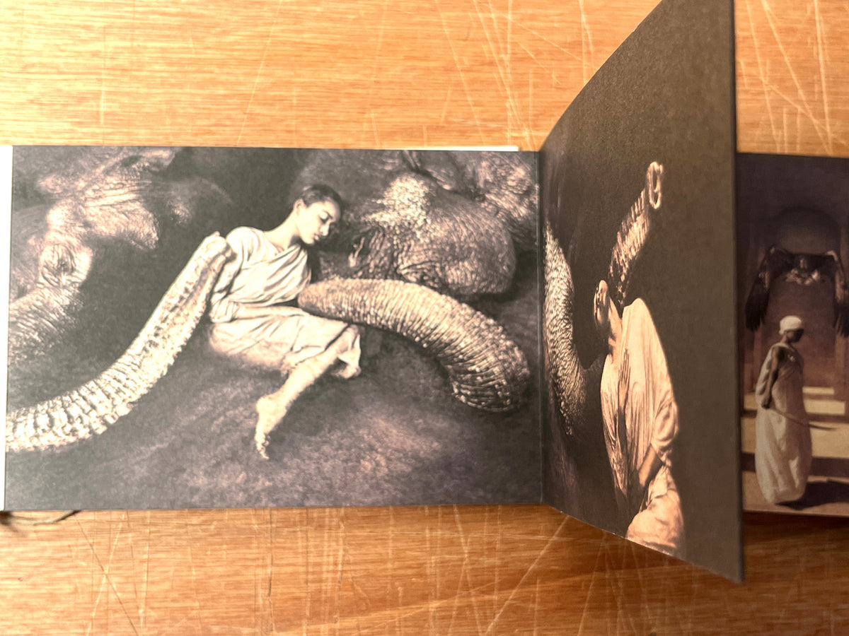 Gregory Colbert, Ashes and Snow, 2005 with Soundtrack and exhibit catalog, FINE