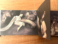 Gregory Colbert, Ashes and Snow, 2005 with Soundtrack and exhibit catalog, FINE