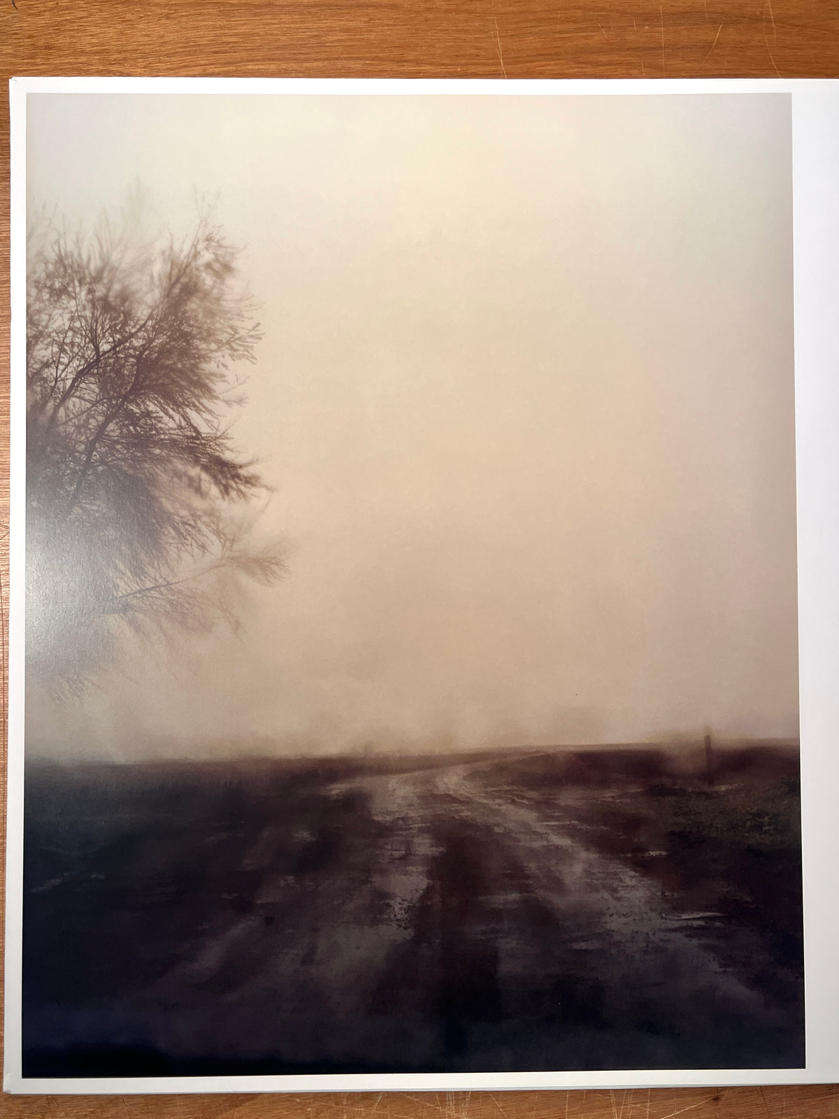 Todd Hido: A Road Divided, 2010, Nazraeli Press, Limited ed., SIGNED