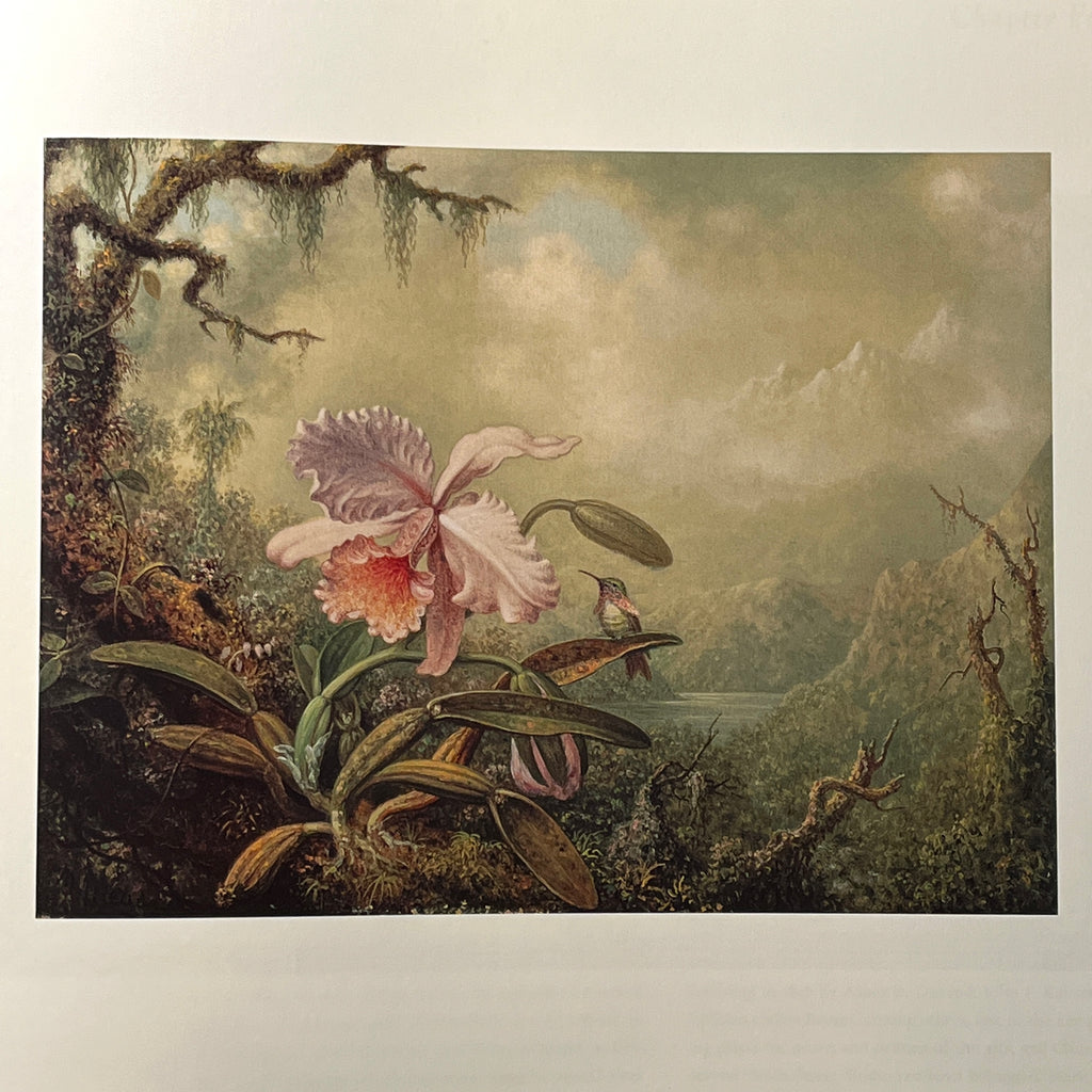 The Life and Work of Martin Johnson Heade Critical Analysis, Catalogu