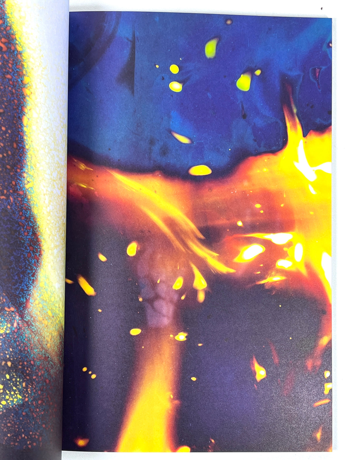 Mariah Robertson Book of Details 2024 Fine SC Abstract Photogram Artist Book