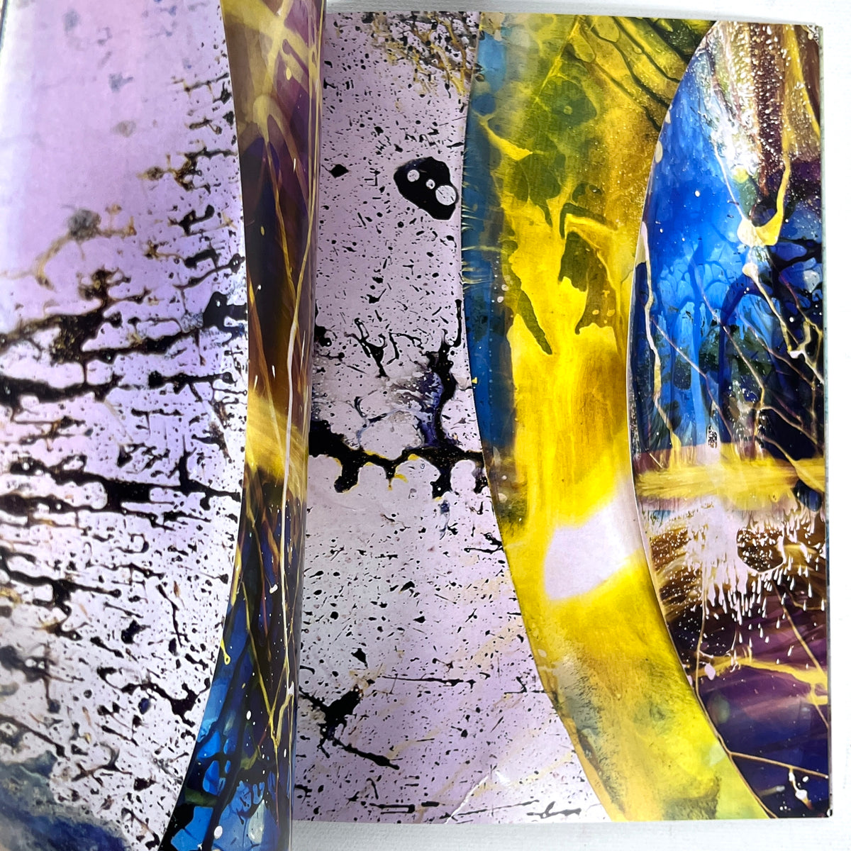 Mariah Robertson Book of Details 2022 Fine SC Abstract Photogram Artist Book
