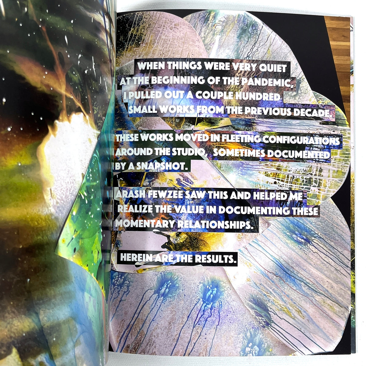 Mariah Robertson Book of Details 2022 Fine SC Abstract Photogram Artist Book