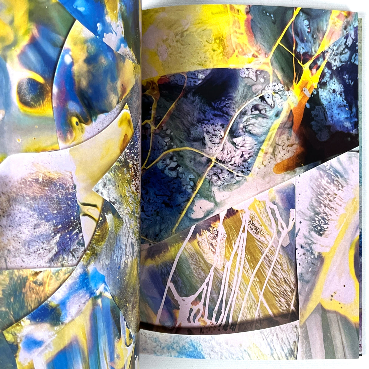 Mariah Robertson Book of Details 2022 Fine SC Abstract Photogram Artist Book