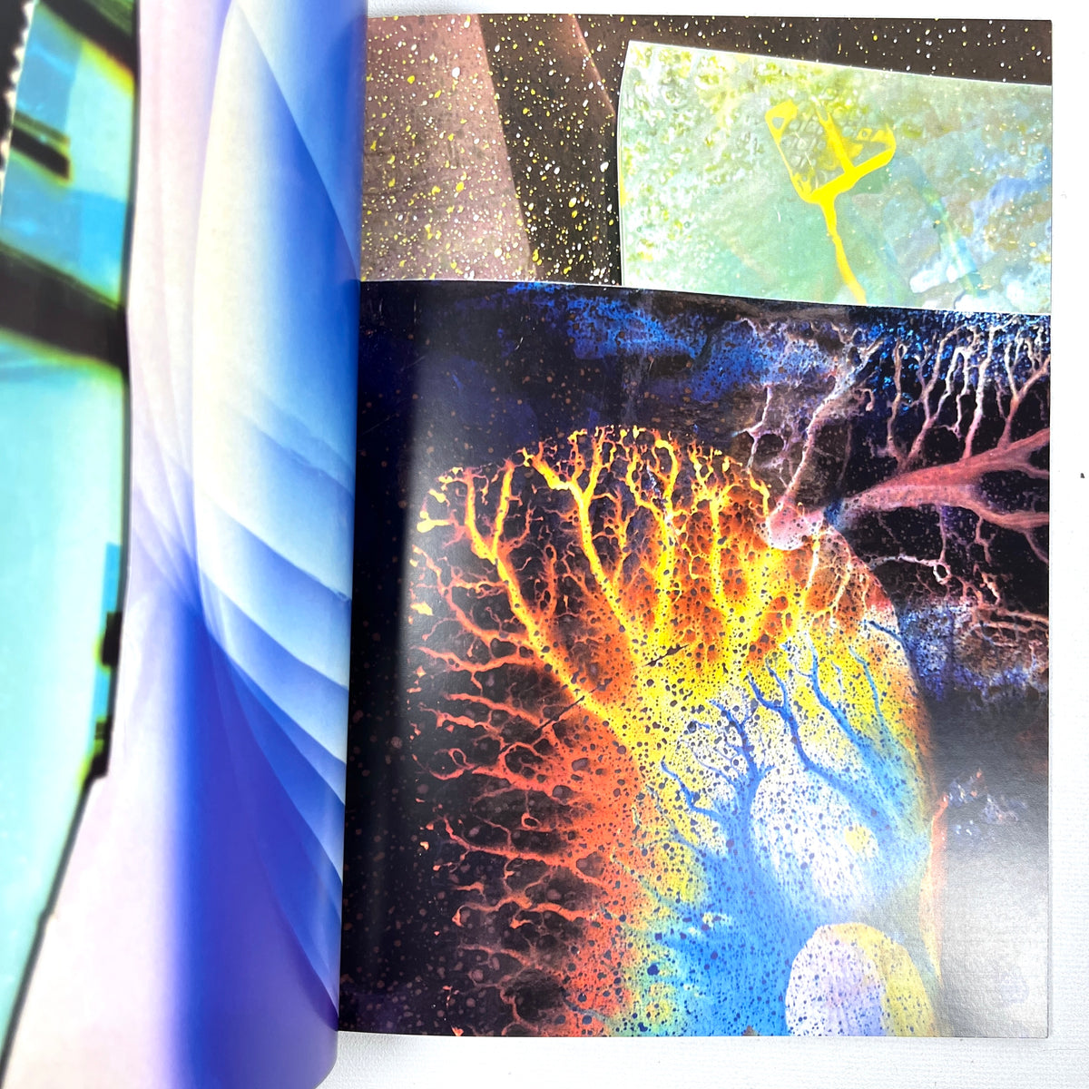 Mariah Robertson Book of Details 2022 Fine SC Abstract Photogram Artist Book