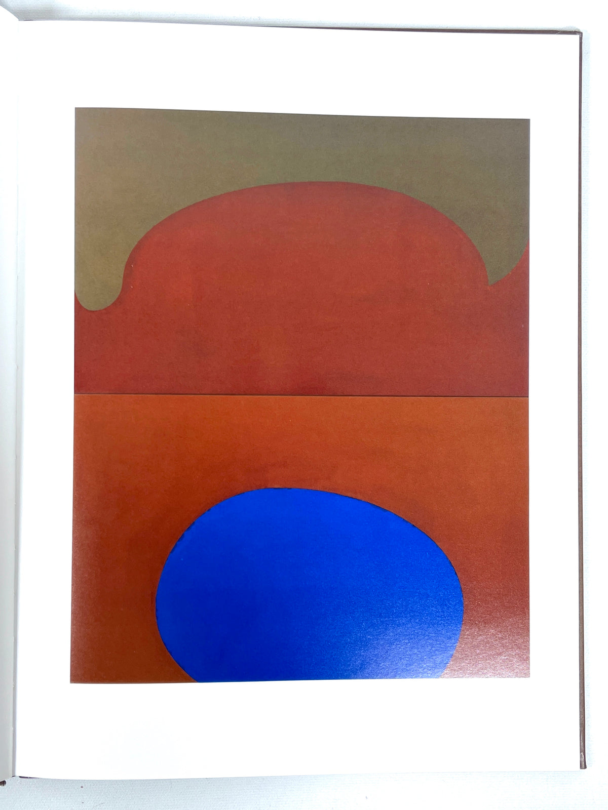 Suzan Frecon: Paintings 2006-2010, Radius Books, First Printing, Near Fine hardcover
