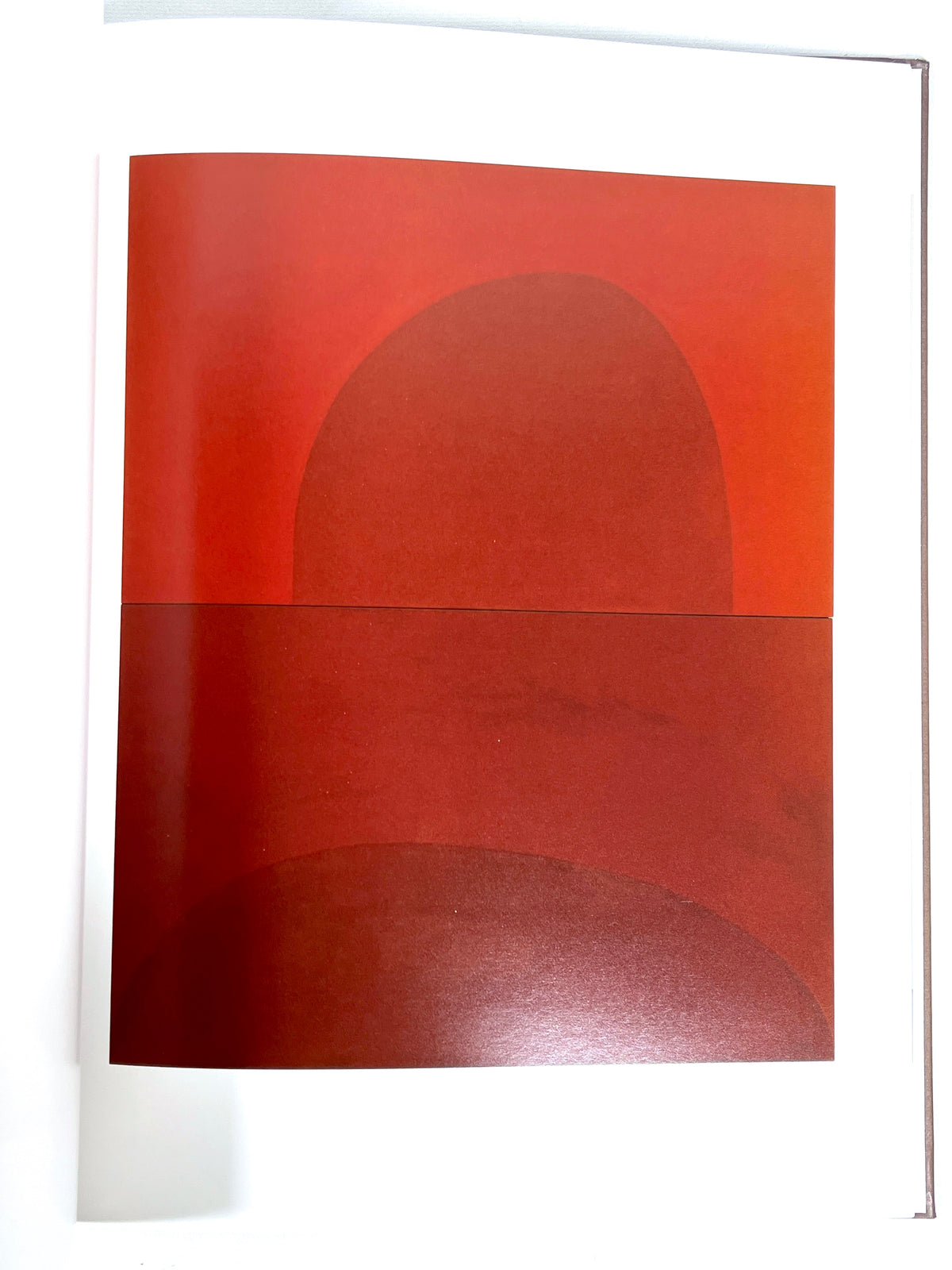 Suzan Frecon: Paintings 2006-2010, Radius Books, First Printing, Near Fine hardcover