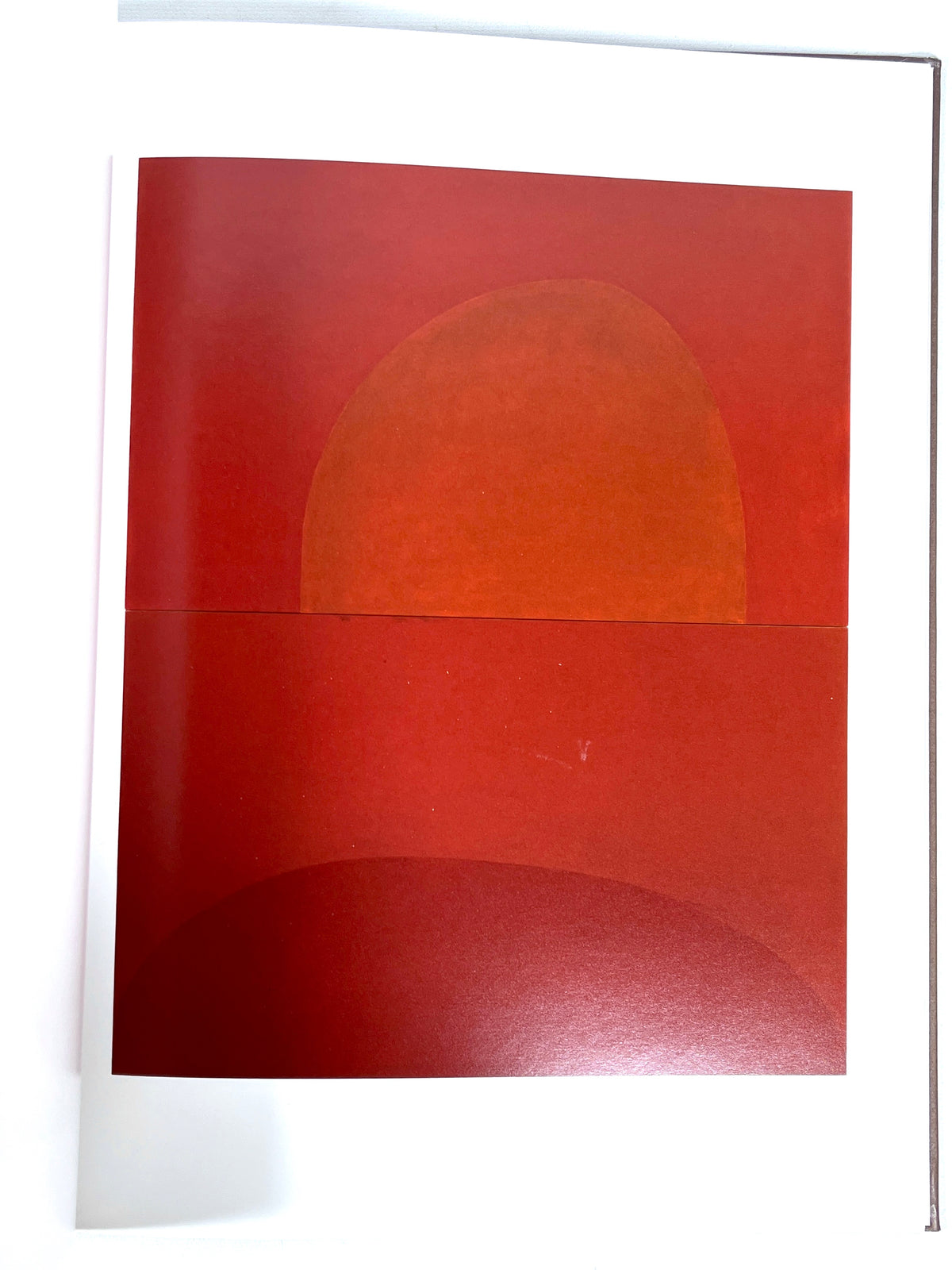 Suzan Frecon: Paintings 2006-2010, Radius Books, First Printing, Near Fine hardcover