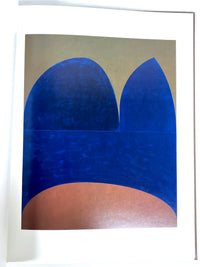 Suzan Frecon: Paintings 2006-2010, Radius Books, First Printing, Near Fine hardcover