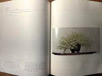 Bonsai, Chuzo Onuki, 1964, 1st Printing, Plates & Guide, Very Good w/Slipcase