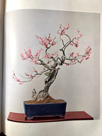 Bonsai, Chuzo Onuki, 1964, 1st Printing, Plates & Guide, Very Good w/Slipcase