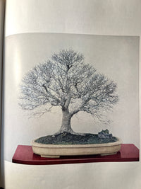Bonsai, Chuzo Onuki, 1964, 1st Printing, Plates & Guide, Very Good w/Slipcase