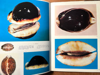 Porcelaines Mysterieuses de Nouvelle-Caledonie / Mysterious Cowries of New Caledonia, 1975, HC, VG.