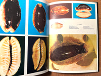 Porcelaines Mysterieuses de Nouvelle-Caledonie / Mysterious Cowries of New Caledonia, 1975, HC, VG.