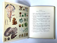 Lichens for Vegetable Dyeing, Eileen Bolton, 1972, Near Fine HC & DJ