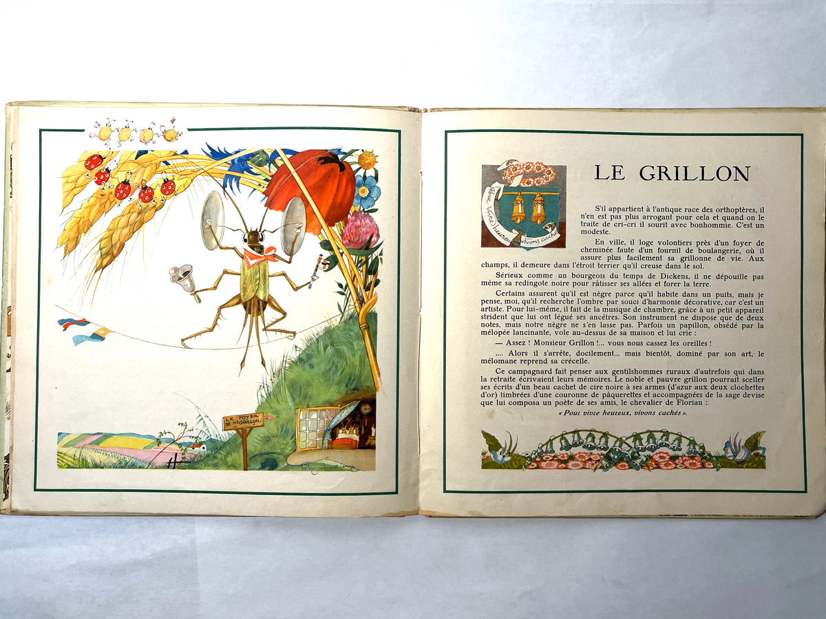 Le Buffon des Enfants, II: Les Insectes de Chez Nous, Bernard Roy, 1943, HC, Good.