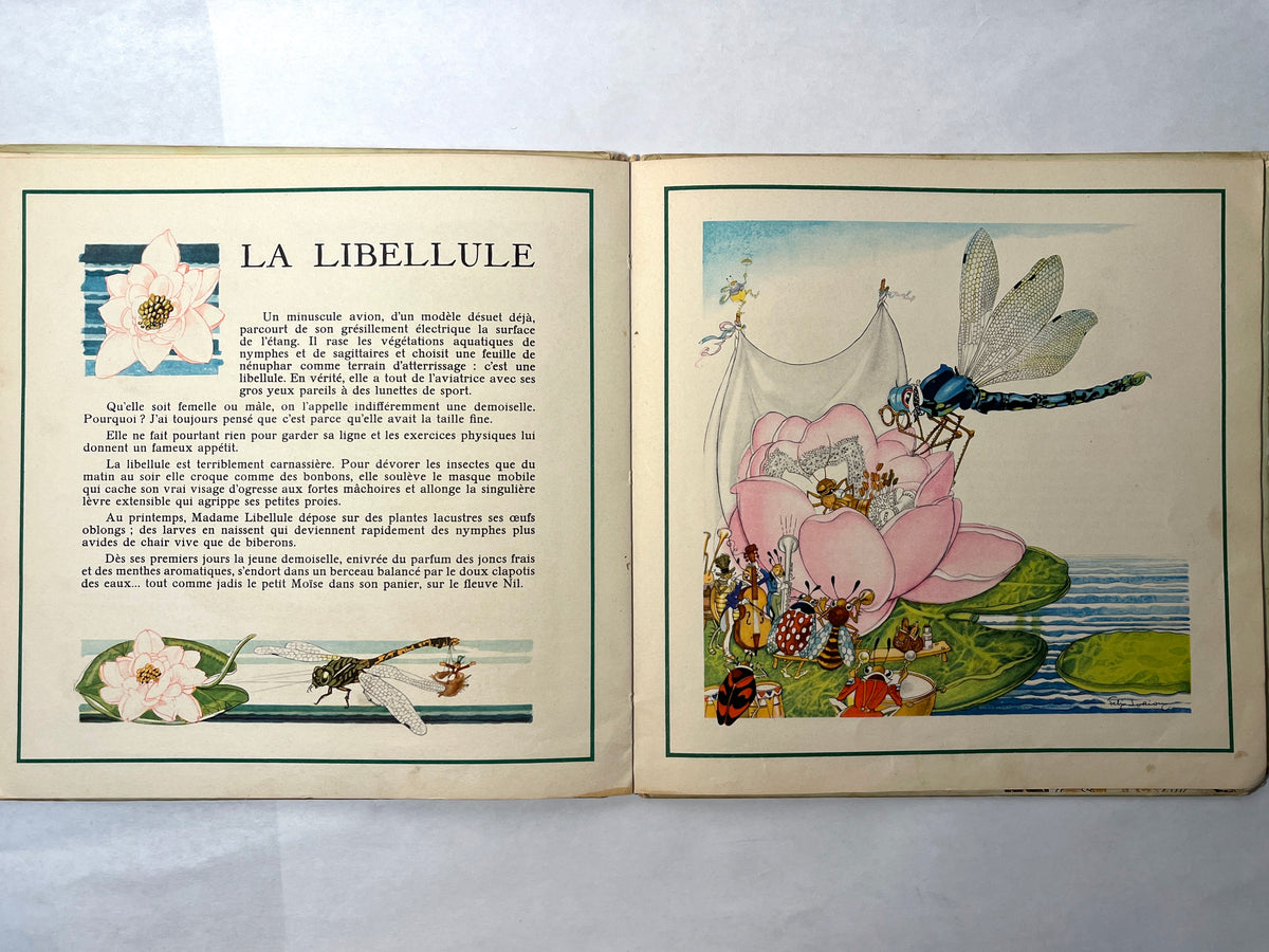 Le Buffon des Enfants, II: Les Insectes de Chez Nous, Bernard Roy, 1943, HC, Good.