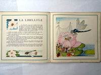 Le Buffon des Enfants, II: Les Insectes de Chez Nous, Bernard Roy, 1943, HC, Good.