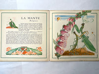 Le Buffon des Enfants, II: Les Insectes de Chez Nous, Bernard Roy, 1943, HC, Good.