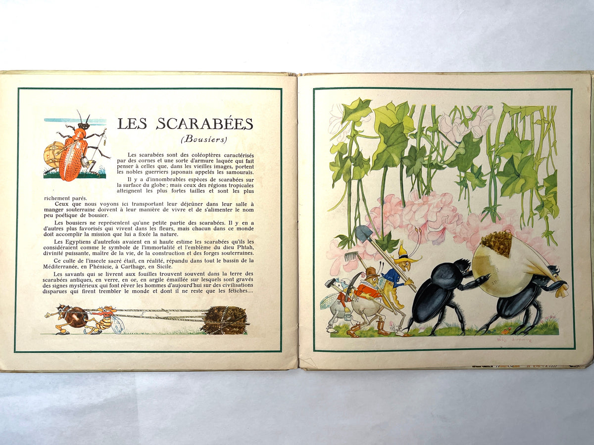 Le Buffon des Enfants, II: Les Insectes de Chez Nous, Bernard Roy, 1943, HC, Good.