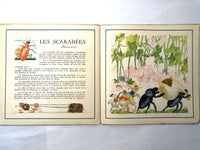 Le Buffon des Enfants, II: Les Insectes de Chez Nous, Bernard Roy, 1943, HC, Good.