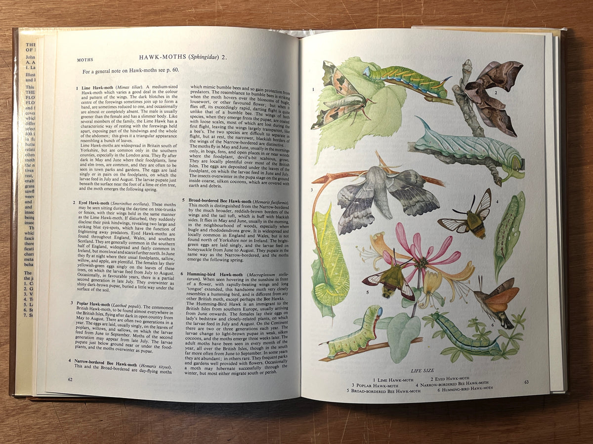 John Burton, The Oxford Book of Insects, 1968, HC, Very Good