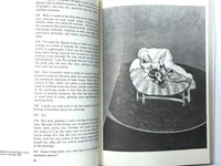The Brutality of Fact: Interviews with Francis Bacon, 3rd Enlarged Ed., 1990, Very Good softcover.