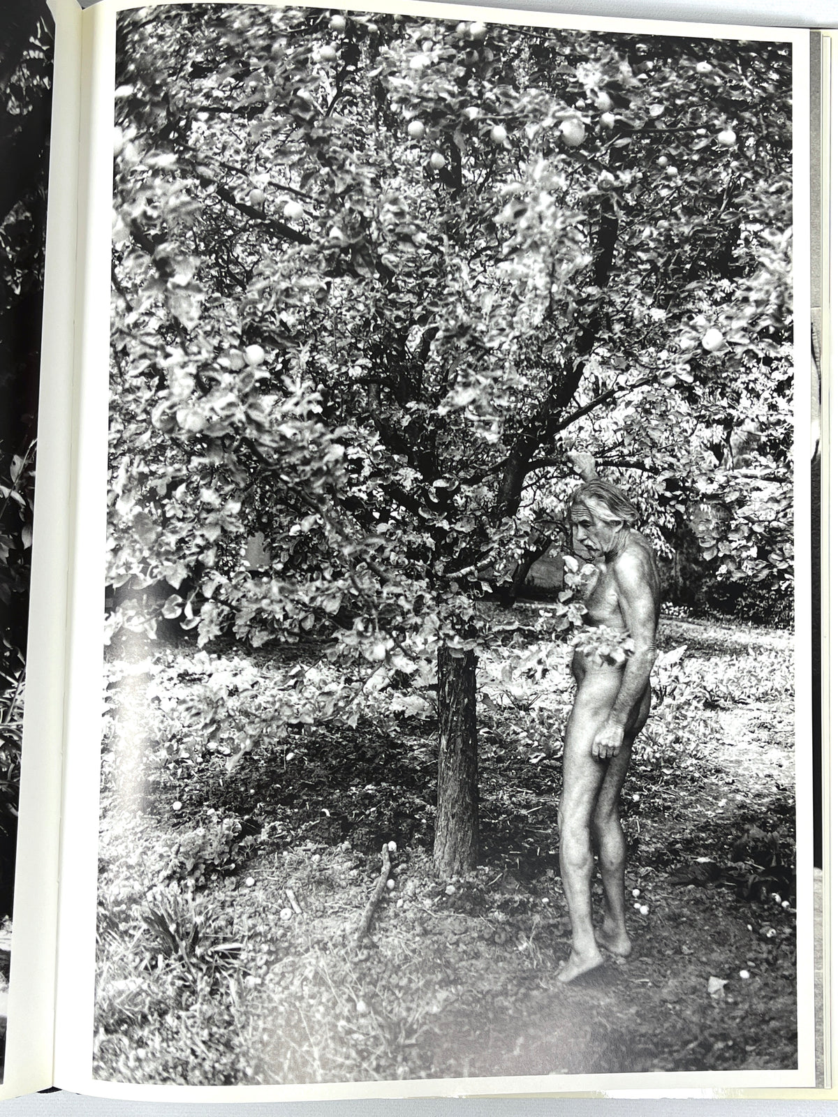 Naked in Paradise: Michael von Graffenried, Dewi Lewis Publishing, 1997, Near Fine hardcover w/DJ.