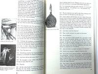 The Brutality of Fact: Interviews with Francis Bacon, 3rd Enlarged Ed., 1990, Very Good softcover.