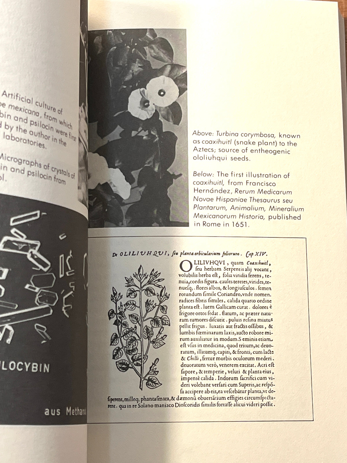 LSD: My Problem Child, Reflections on Sacred Drugs, Mysticism, and Science, Albert Hofmann, 1983, SC, VG.