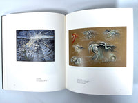 Lee Bontecou: Drawn Worlds, The Menil Collection, 2014, Near Fine hardcover.