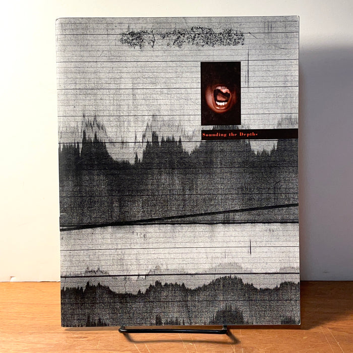 Pauline Cummins, Louise Walsh: Sounding the Depths, Irish Museum of Art, 1992