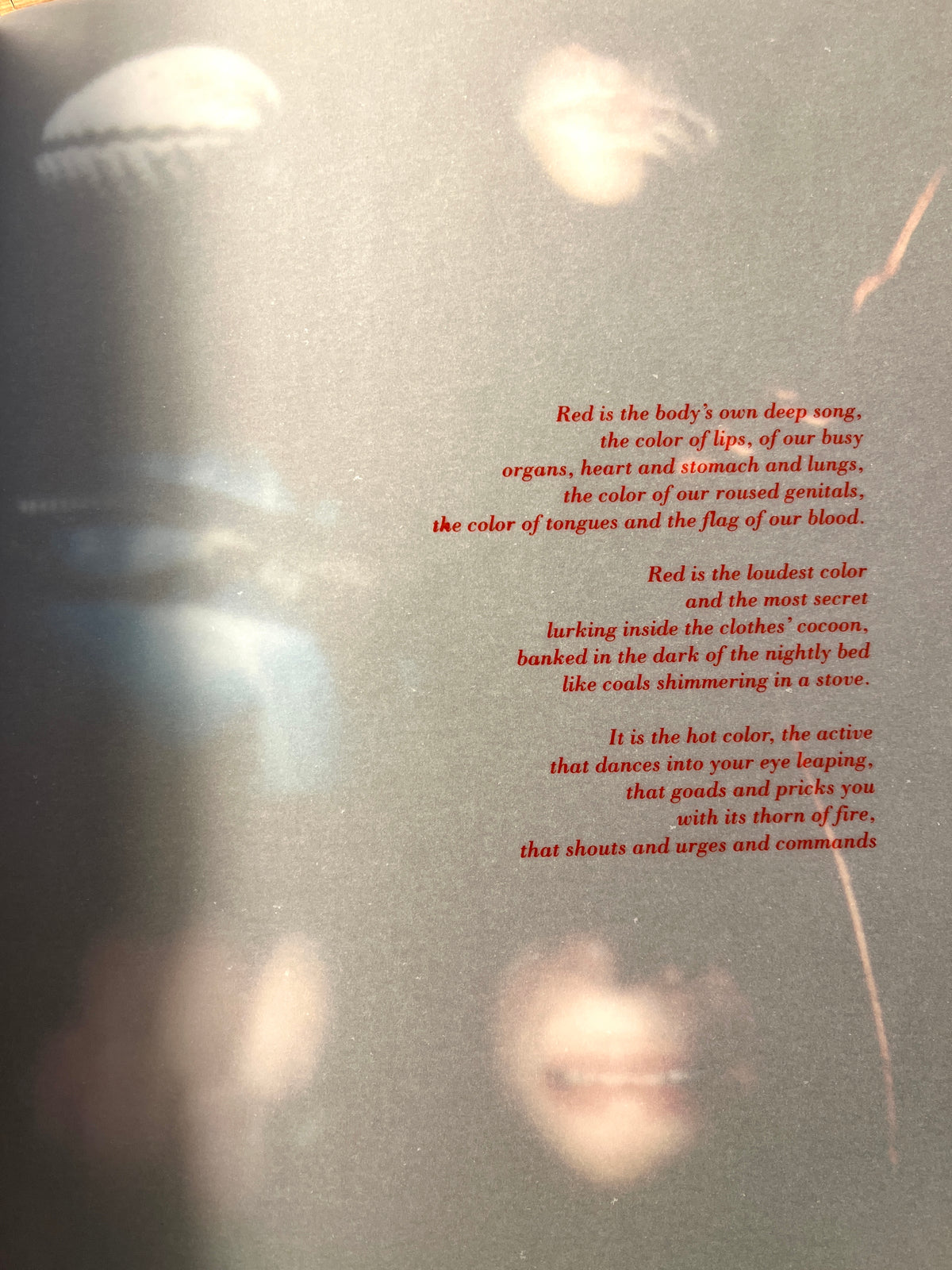 Pauline Cummins, Louise Walsh: Sounding the Depths, Irish Museum of Art, 1992