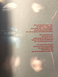 Pauline Cummins, Louise Walsh: Sounding the Depths, Irish Museum of Art, 1992