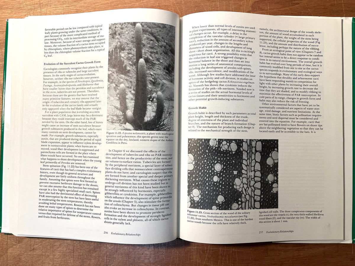 The Cactus Primer, Arthur Gibson & Park Nobel, Harvard University, Cambridge, 1986, NF HC