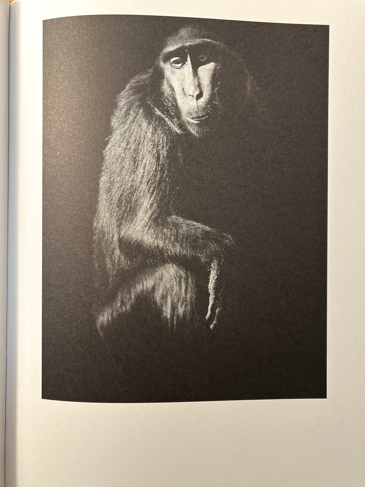 Other Animals, Elliot Ross, Amsterdam: Schilt Publishing, 2014, Photo Mono, HC, VG