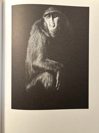 Other Animals, Elliot Ross, Amsterdam: Schilt Publishing, 2014, Photo Mono, HC, VG