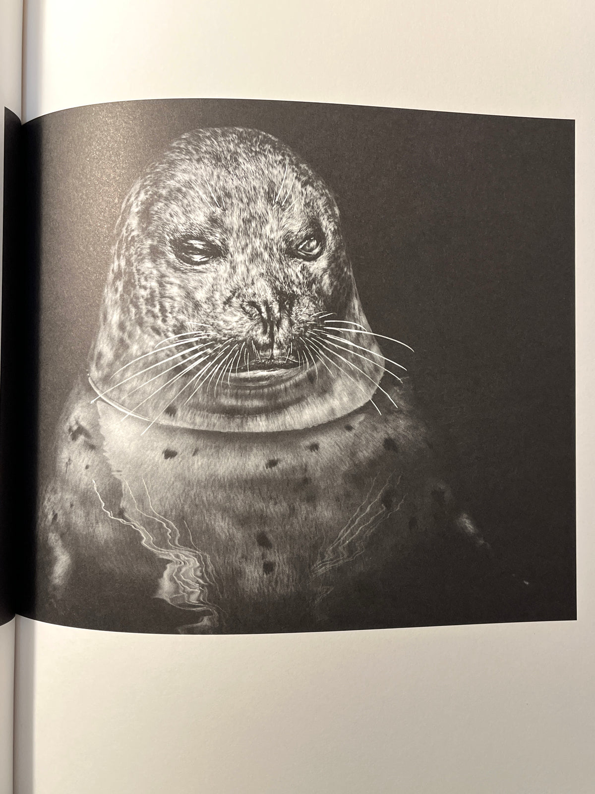 Other Animals, Elliot Ross, Amsterdam: Schilt Publishing, 2014, Photo Mono, HC, VG