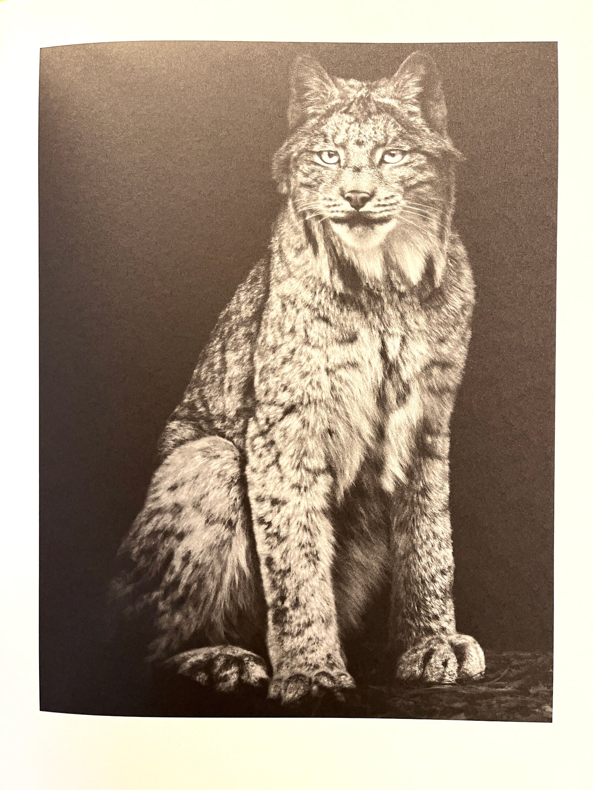 Other Animals, Elliot Ross, Amsterdam: Schilt Publishing, 2014, Photo Mono, HC, VG