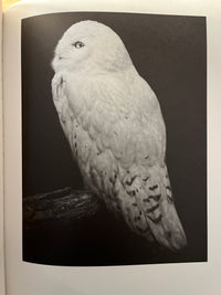 Other Animals, Elliot Ross, Amsterdam: Schilt Publishing, 2014, Photo Mono, HC, VG