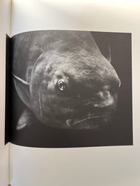 Other Animals, Elliot Ross, Amsterdam: Schilt Publishing, 2014, Photo Mono, HC, VG