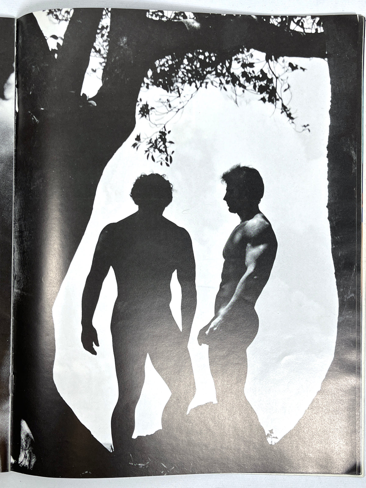 Lethal Meat, number 203, 1979, Fox Studios, Very Good + softcover