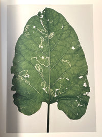 Janet Malcolm, Burdock, Yale University Press, 2008, HC, Near Fine