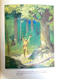 James Fenimore Cooper, The Deerslayer, or The First War-Path, Illus. by N.C. Wyeth, 1927, Very Good hardcover.