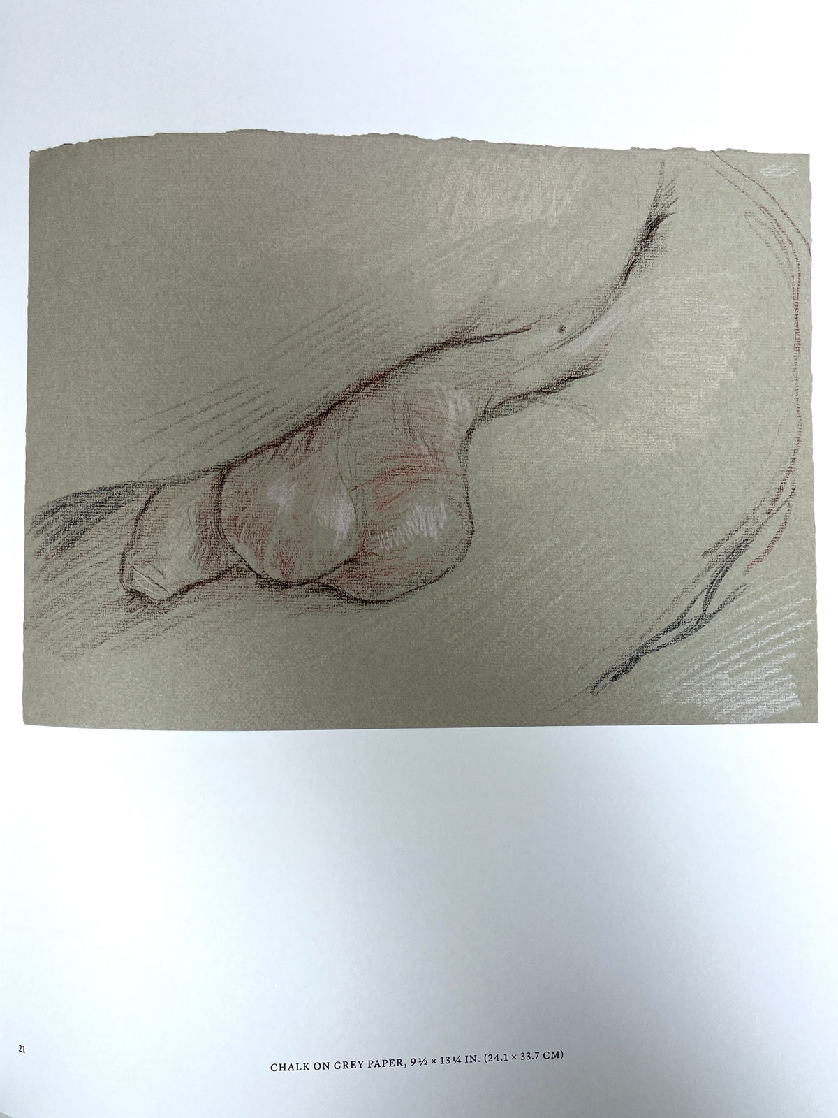 Paul Cadmus: 49 Drawings, Phaidon, 2024, Near Fine hardcover in portfolio