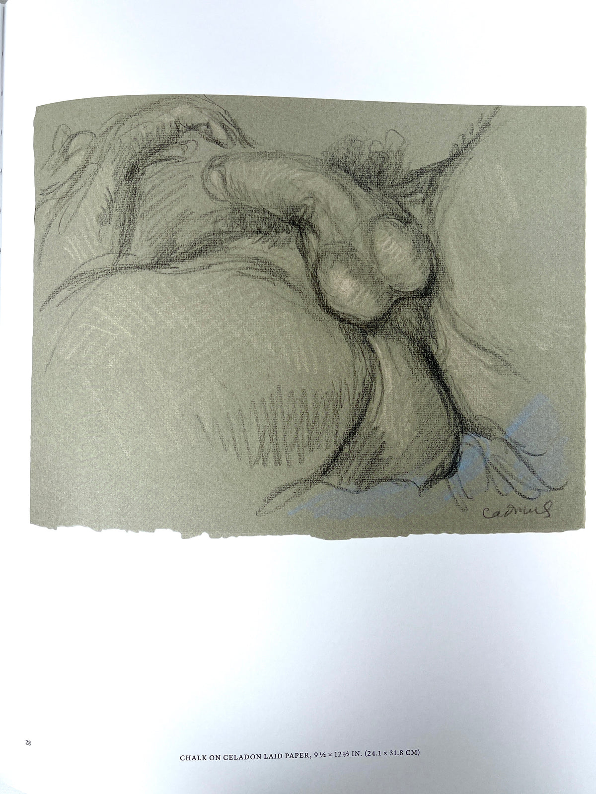 Paul Cadmus: 49 Drawings, Phaidon, 2024, Near Fine hardcover in portfolio