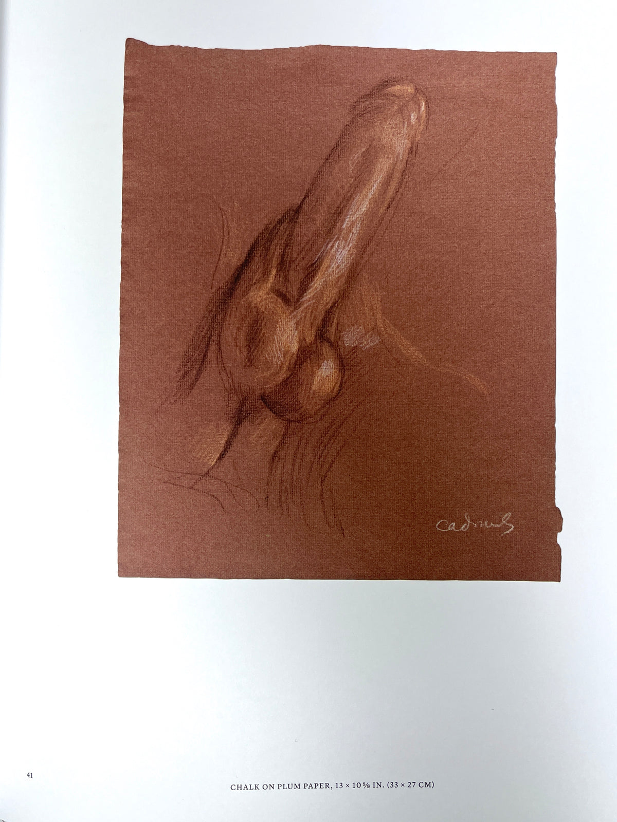 Paul Cadmus: 49 Drawings, Phaidon, 2024, Near Fine hardcover in portfolio