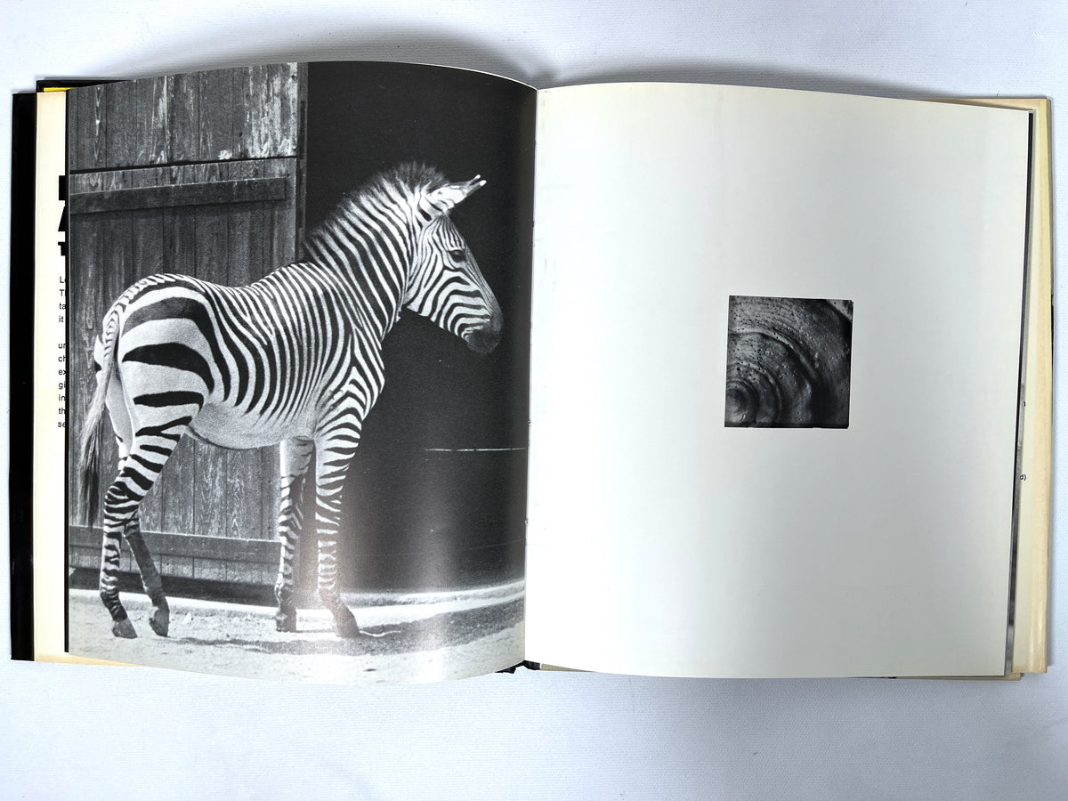 Look Again!, Tana Hoban, The Macmillan Company, 1971, Near Fine hardcover