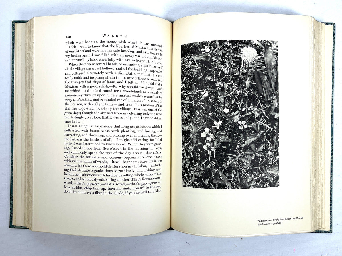 Walden, or Life in the Woods, Henry Thoreau, Limited Editions Club, Edward Steichen, SIGNED